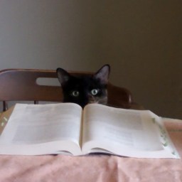 Thoughts on Games Writing and Community Involvement